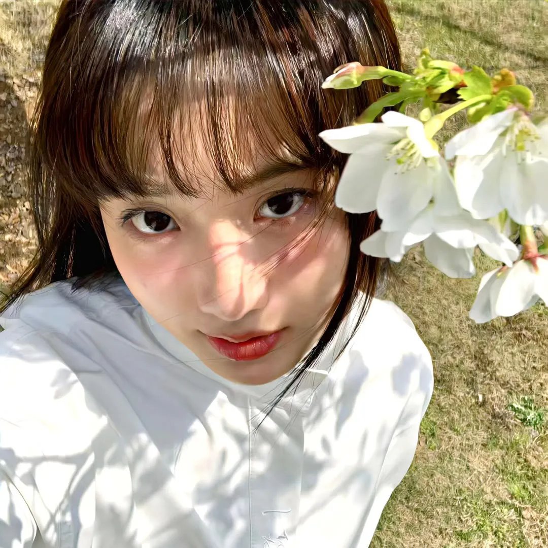 红绒花